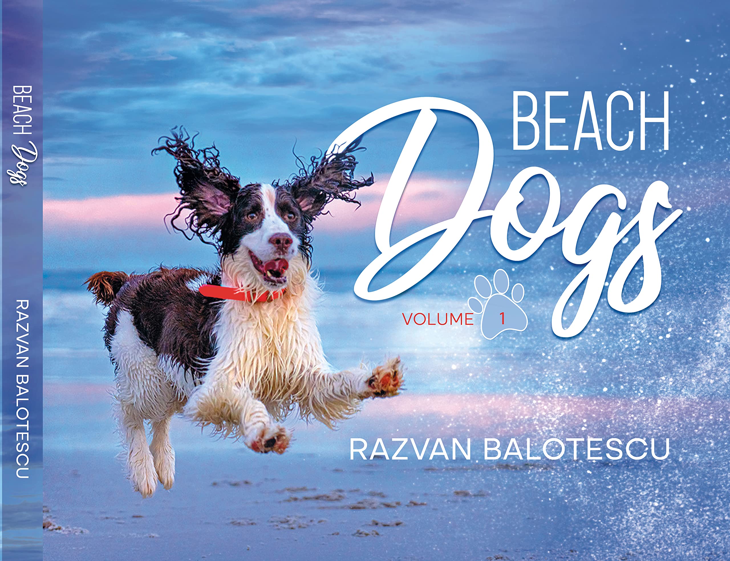 BEACH DOGS: Stunning Coffee Table Photography Book for Dog Lovers - Perfect Gift for Pet Owners & Beach Enthusiasts | Home Decor & Conversation Starter