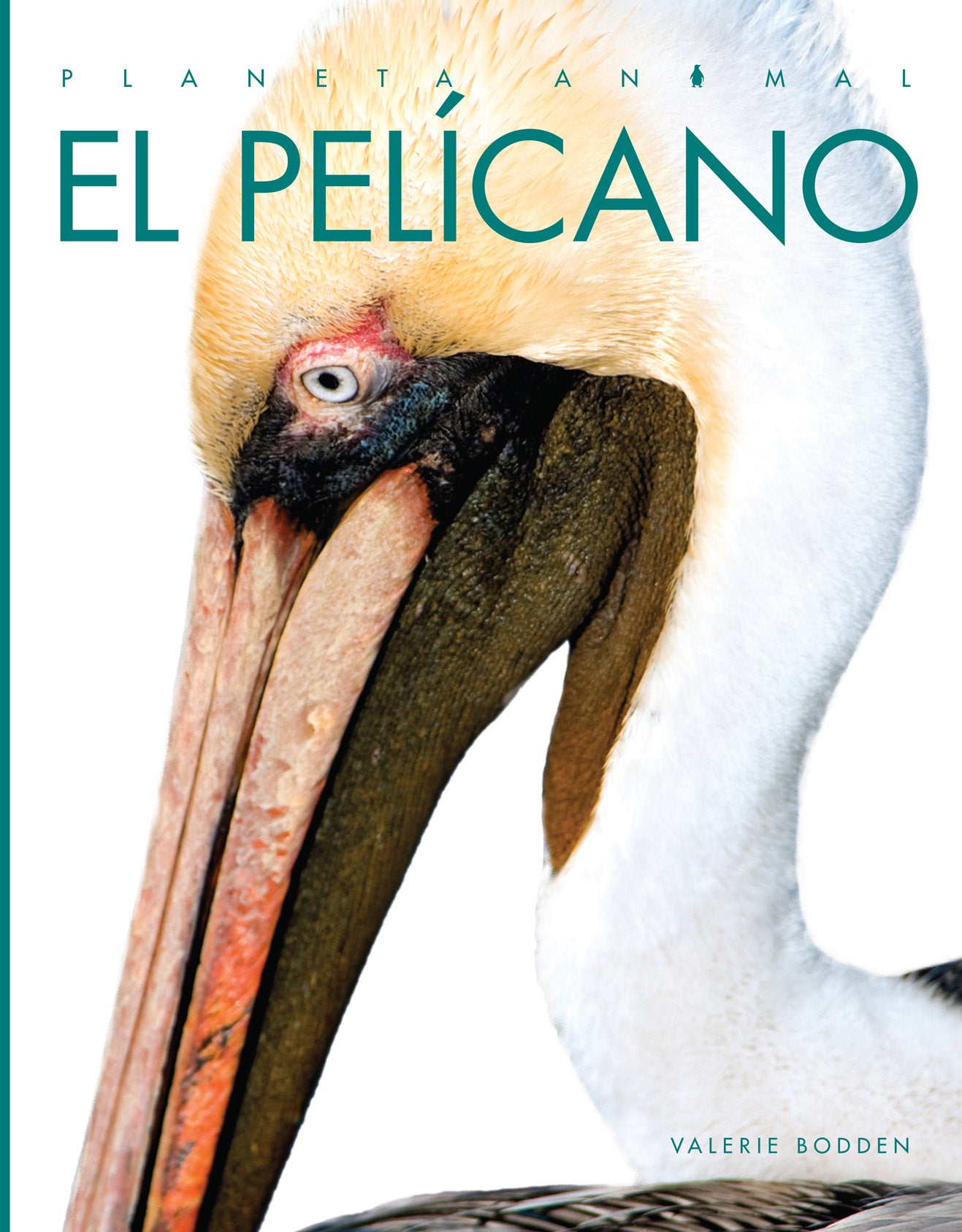 El Pelicano Book 9781640261006 - Perfect for Bird Lovers & Nature Enthusiasts | Great Gift for Readers & Collectors