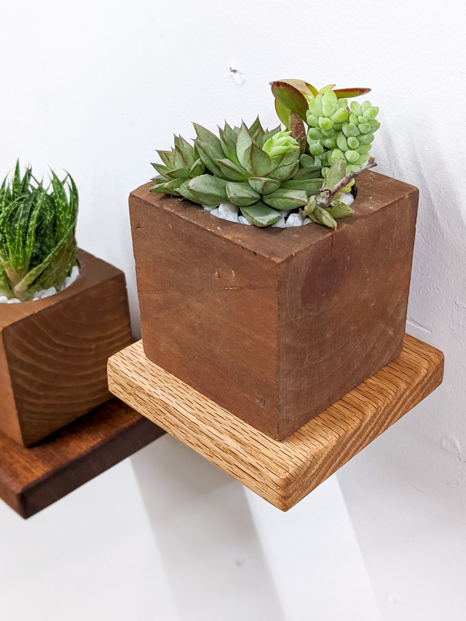 Mahogany Small Square Display Shelf - Elegant Wooden Shelf for Home Decor, Books & Collectibles | Perfect for Living Room, Bedroom & Office Organization