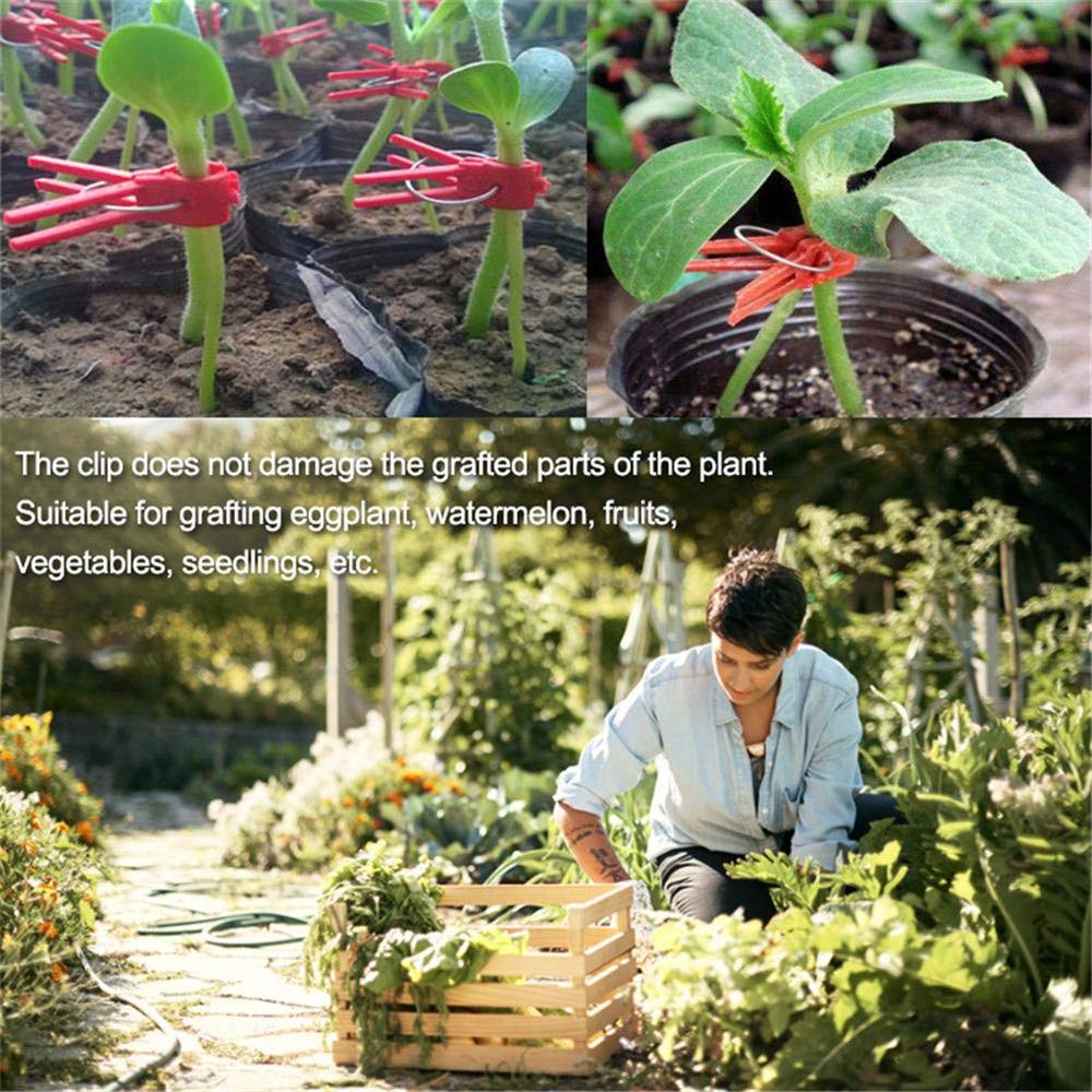 100PCS Plastic Round Mouth Grafting Clips for Plants - Gardening Tool for Cucumber, Eggplant, Tomato, Watermelon - Ideal for Home Garden, Greenhouse & Plant Propagation