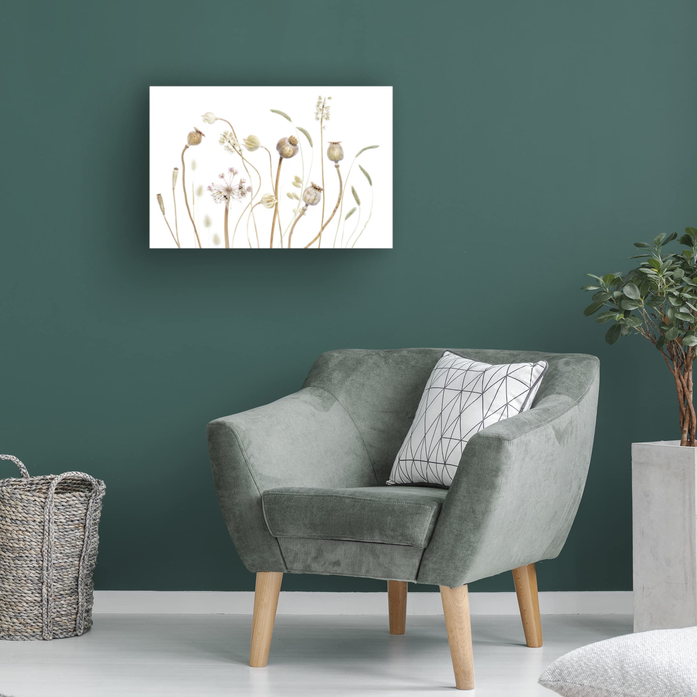 Trademark Fine Art 'Pods' Canvas Wall Art by Mandy Disher - Modern Home Decor for Living Room, Bedroom & Office