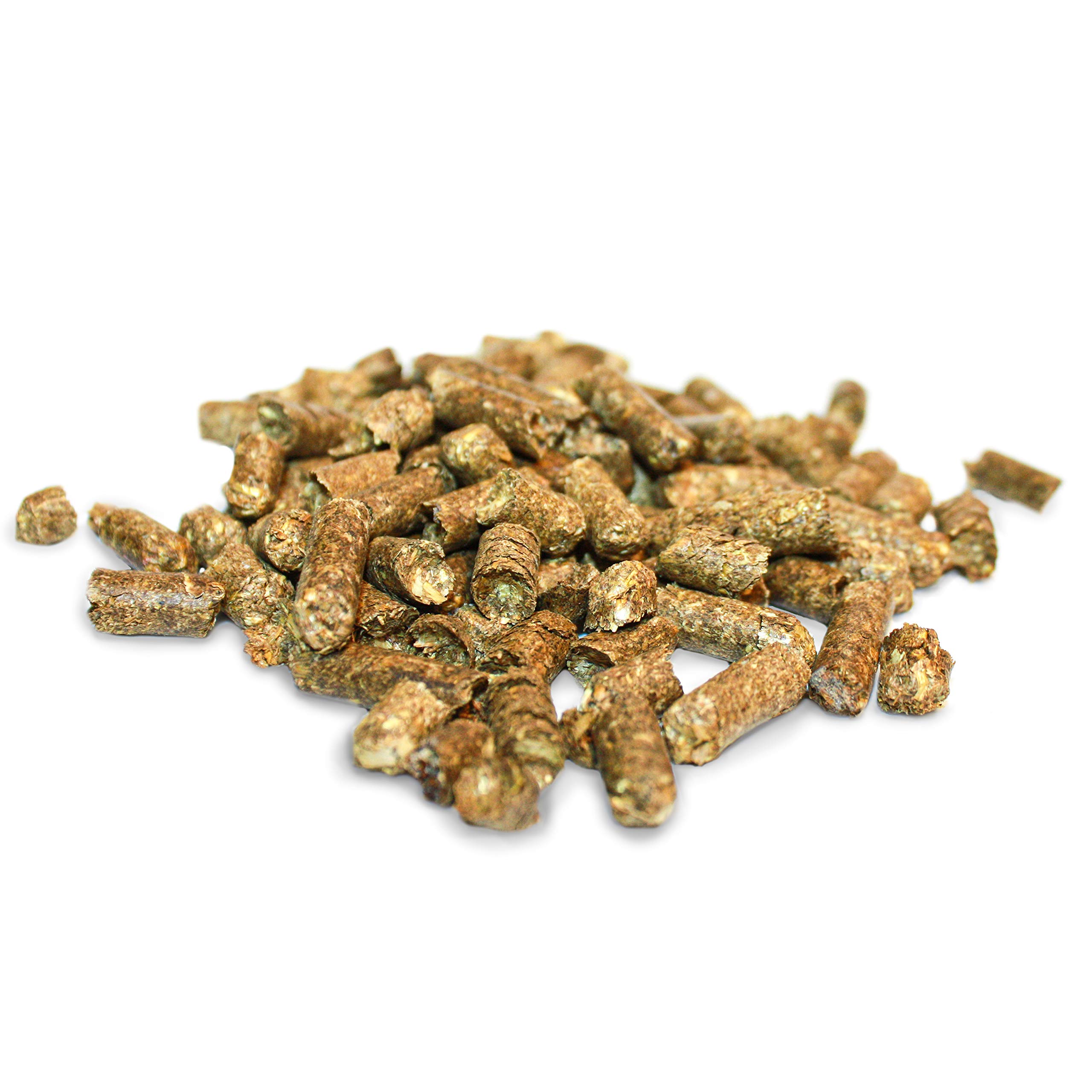 Komodo Straw Terrain - Premium Reptile Bedding & Substrate for Lizards, Snakes & Turtles | Natural Straw Habitat | 12L (3.2 Gallon) | Ideal for Terrariums, Vivariums & Reptile Enclosures