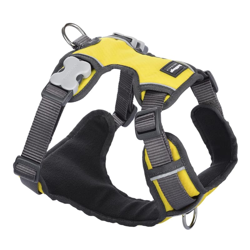 **Red Dingo Padded Yellow Dog Harness - Adjustable & Reflective (5 Sizes) - Perfect for Walking, Hiking & Outdoor Adventures**