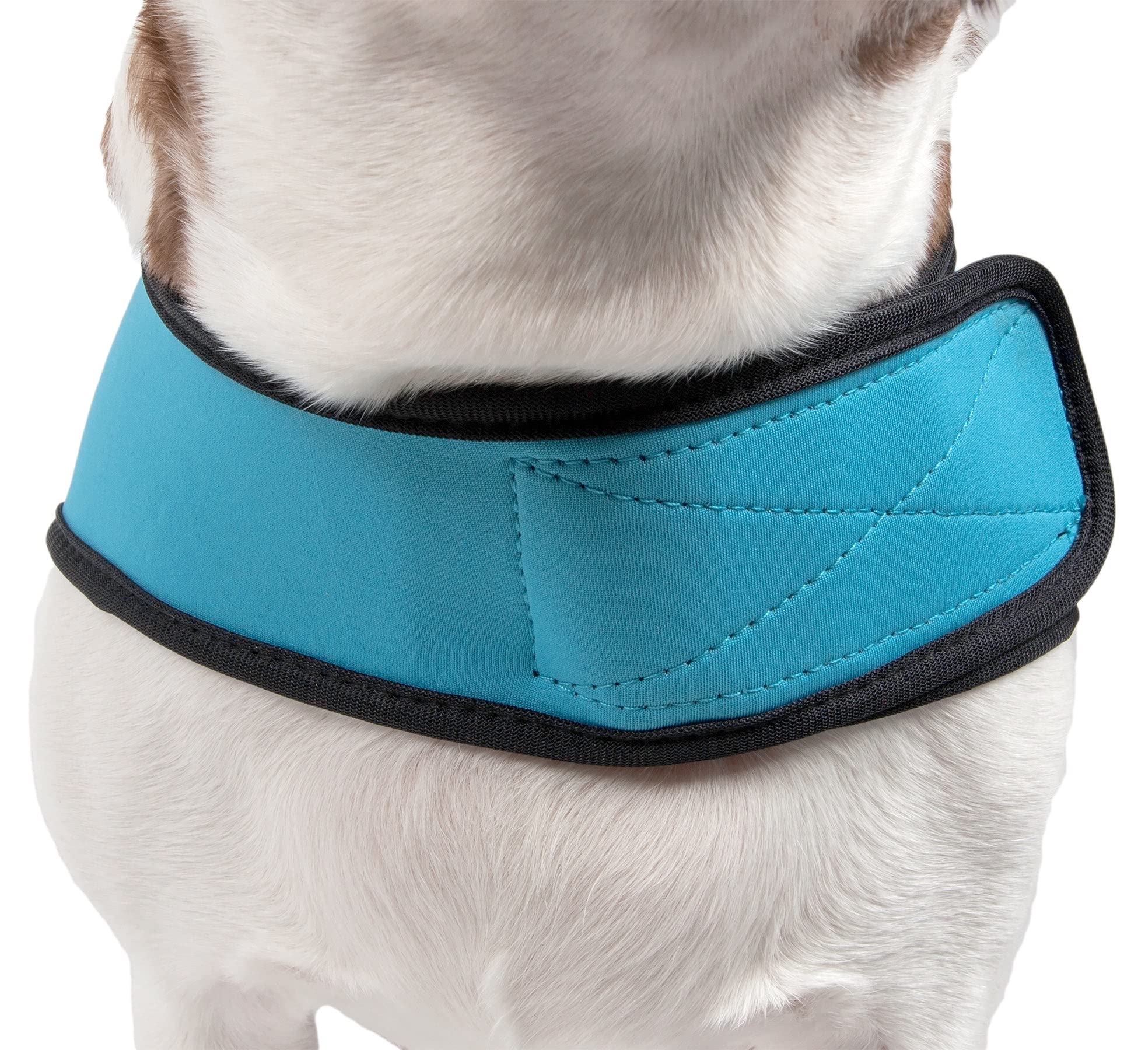 Extreme Softshell Neoprene Dog Coat with Reflective Strips - Waterproof Dog Jacket & Rash Guard for Small, Medium & Large Breeds - Ideal for Winter Walks, Outdoor Adventures & Cold Weather Protection