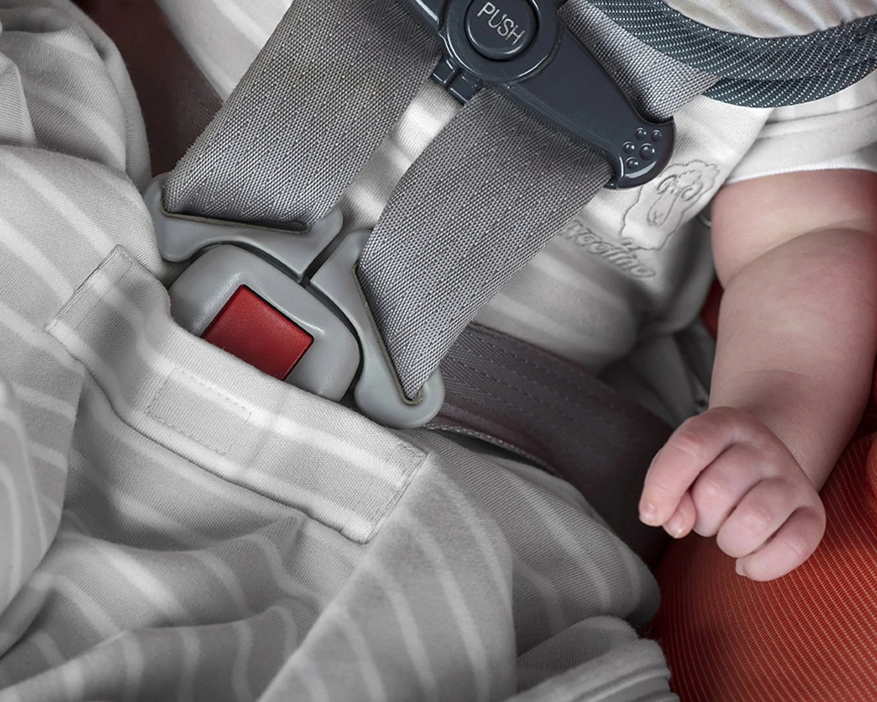 4 Season Ultimate Toddler Sleep Bag - Merino Wool & Organic Cotton for 2-4 Years - Teddy Bear Design - Cozy & Breathable for Nursery, Daycare & Travel