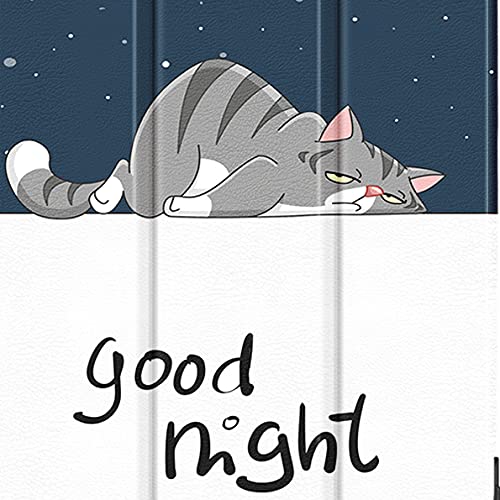 01# Cat Kitty