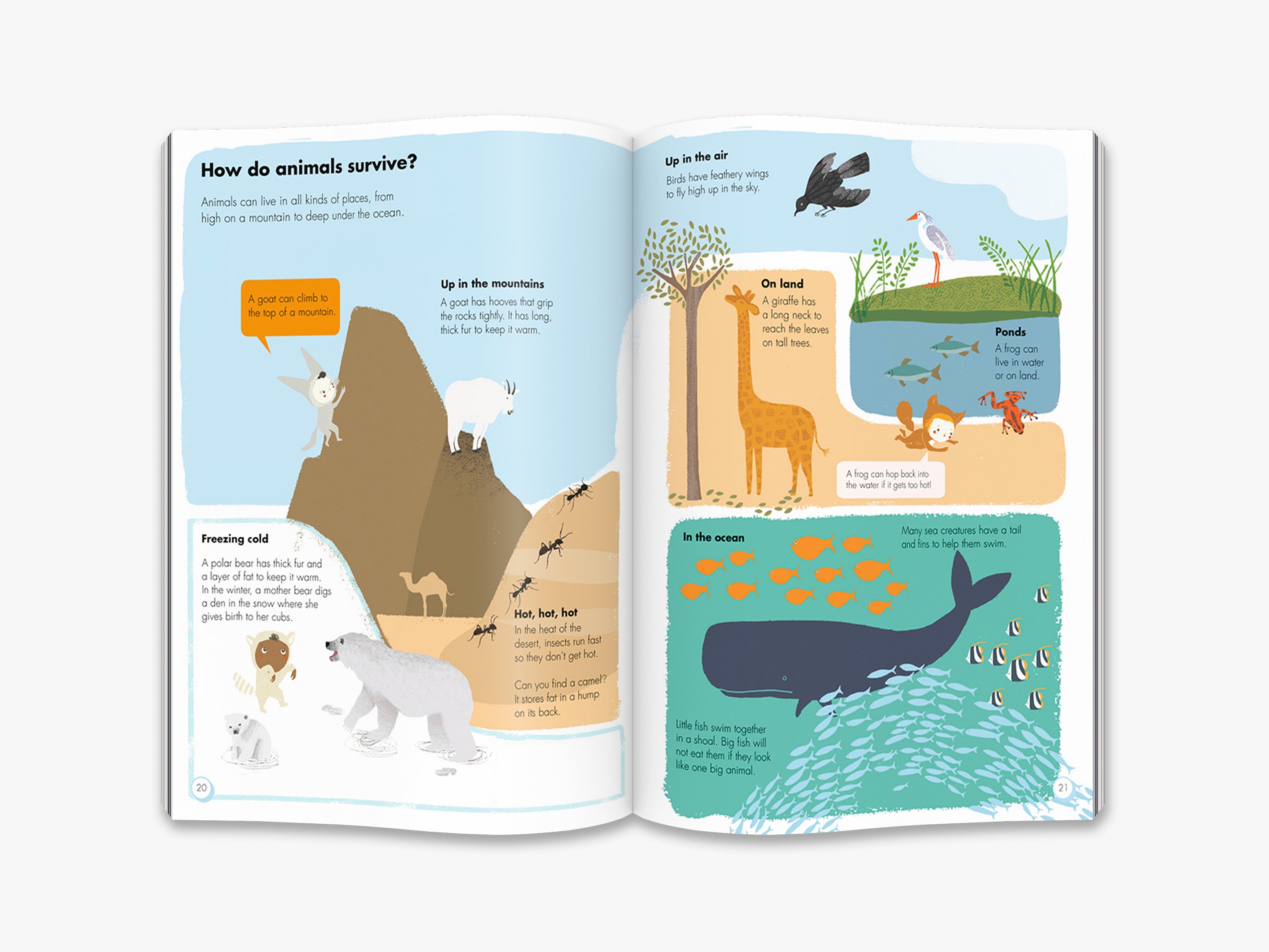 My Animal Book 1 - Fun Educational Children's Book About Animals | Perfect for Kids Learning, Bedtime Stories & Classroom Reading