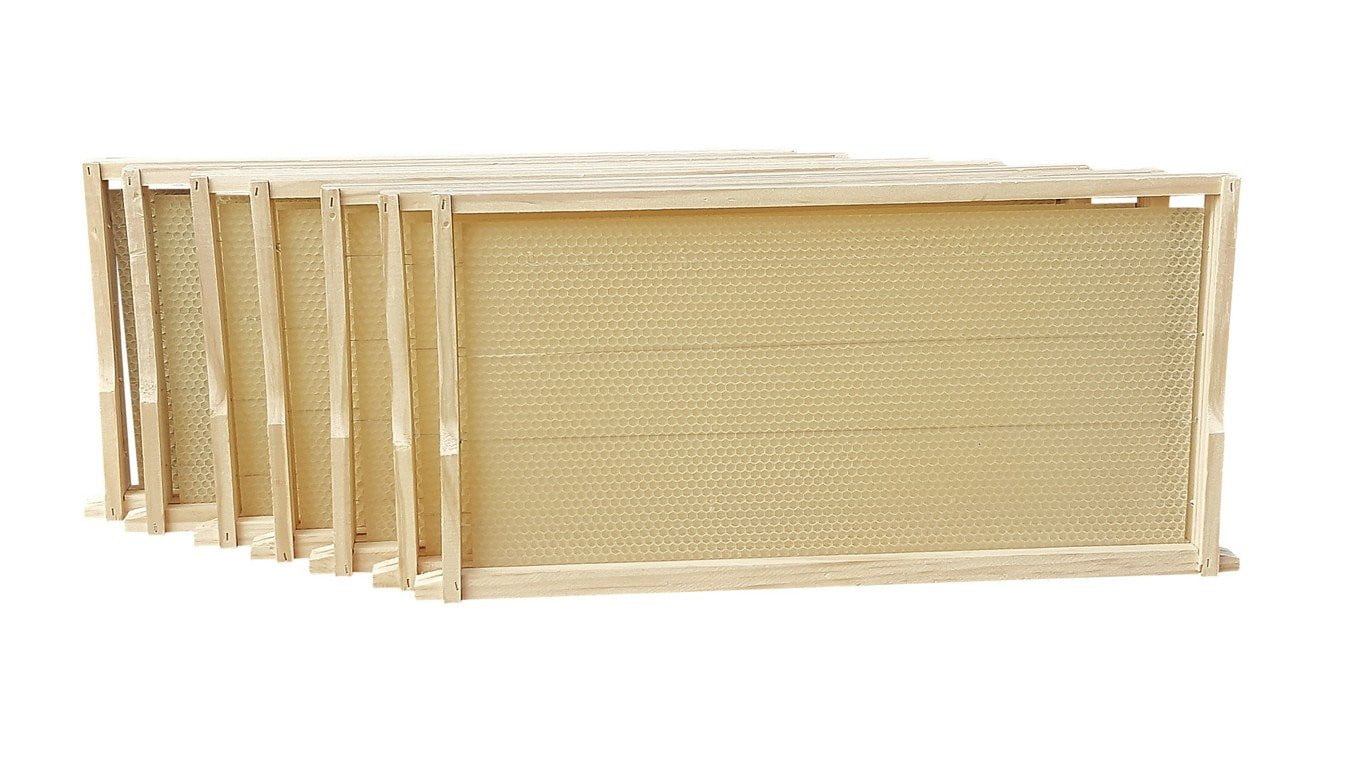 Three Levels OZ ARMOUR Assembled & Painted Beehive - Premium Wooden Bee Hive for Beekeeping, Honey Production & Backyard Farming (Perfect for Beginners & Professional Beekeepers)