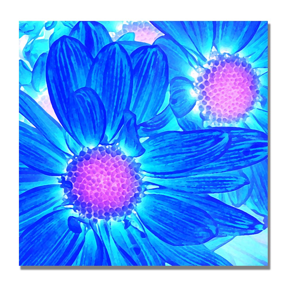 Trademark Art Pop Daisies VI Canvas Wall Art by Amy Vangsgard - 18x18 Inch Floral Home Decor for Living Room, Bedroom & Office