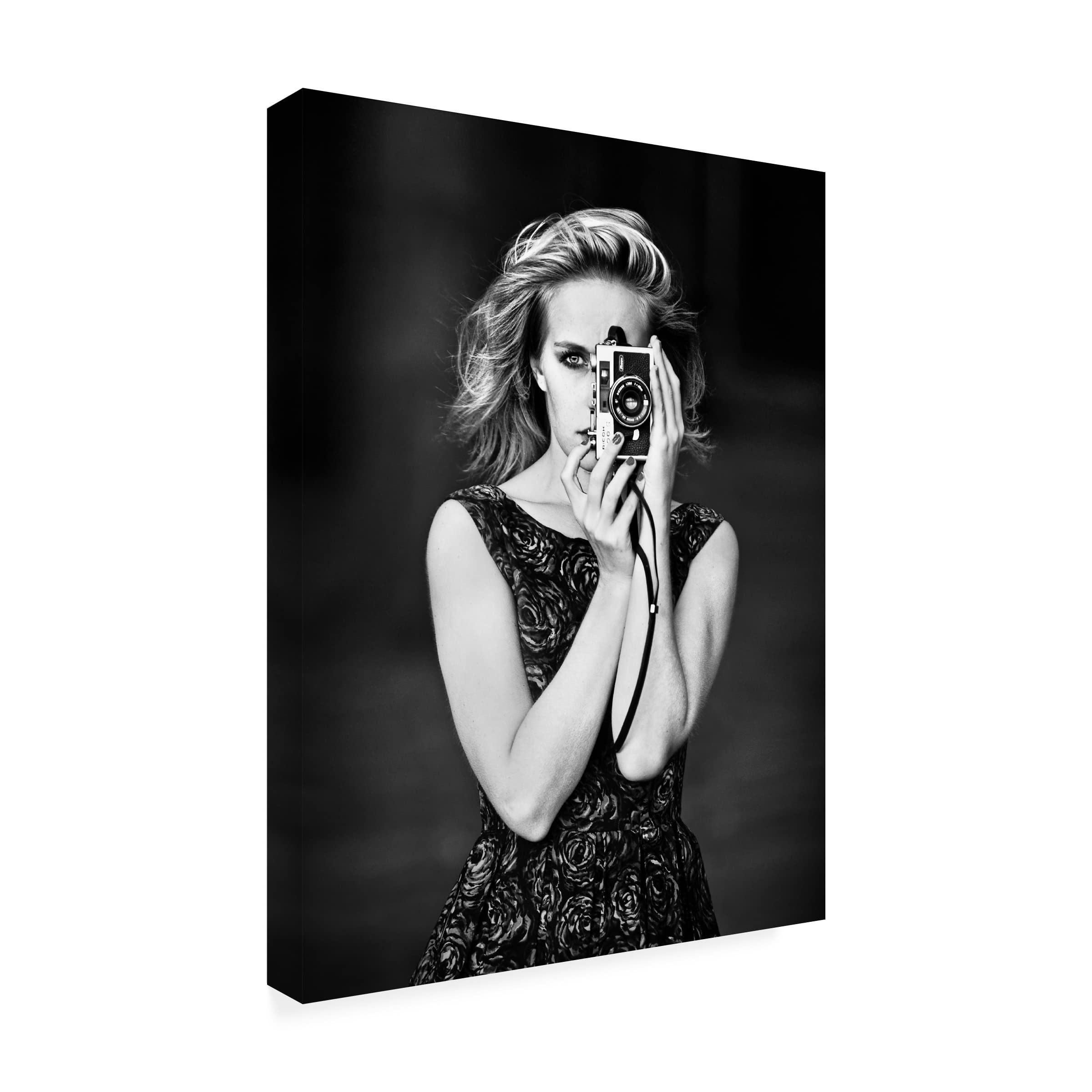 Lars Hur Photography Canvas Art - Premium Trademark Fine Art Wall Decor for Living Room, Bedroom & Office