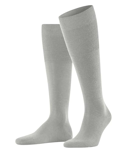 Grey (Arctic Grey 3173)