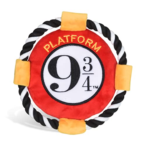Platform 9 3/4 Frisbee