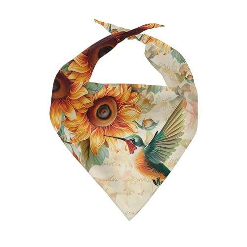 Sunflower Hummingbird