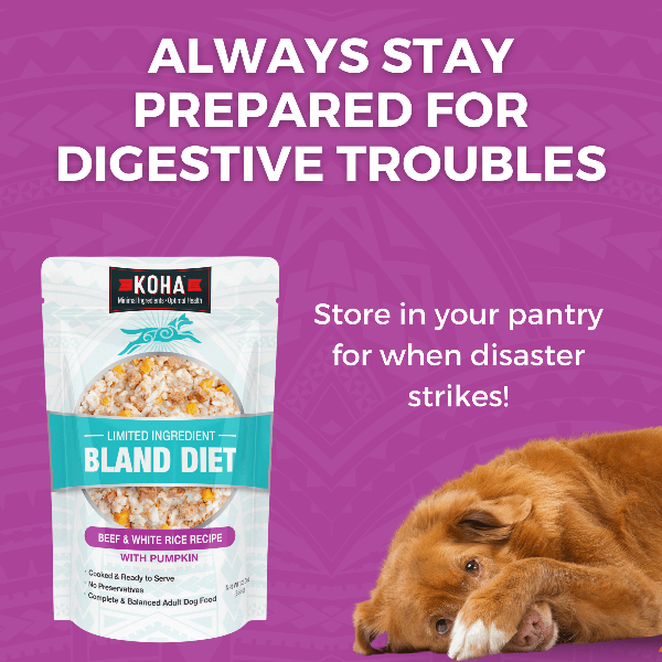 KOHA Limited Ingredient Dog Food - Grain Free Beef & White Rice Recipe for Sensitive Stomachs - Perfect for Dogs with Allergies or Digestive Issues - Dry Kibble for Adult & Senior Dogs - Great for Meal Toppers or Mixers