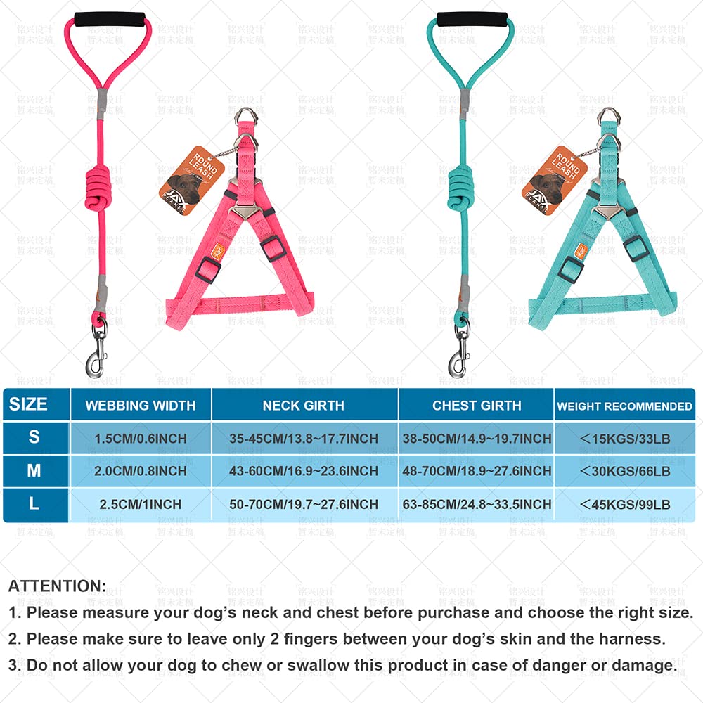 Premium Dog Harness and Leash Set for Small, Medium & Large Dogs - Adjustable No-Pull Pet Harness with D-Ring - Comfortable Training Walking Gear for Puppies & Adult Dogs - Perfect for Outdoor Adventures, Hiking & Daily Walks