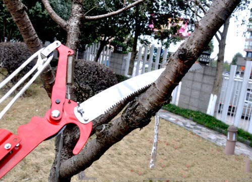 26FT Tree Pole Pruner with 8-Piece Extension - Professional Saw Trimmer Shear Cutter for Coconut & Palm Branches - Perfect for Garden Pruning, Landscaping & Tree Maintenance