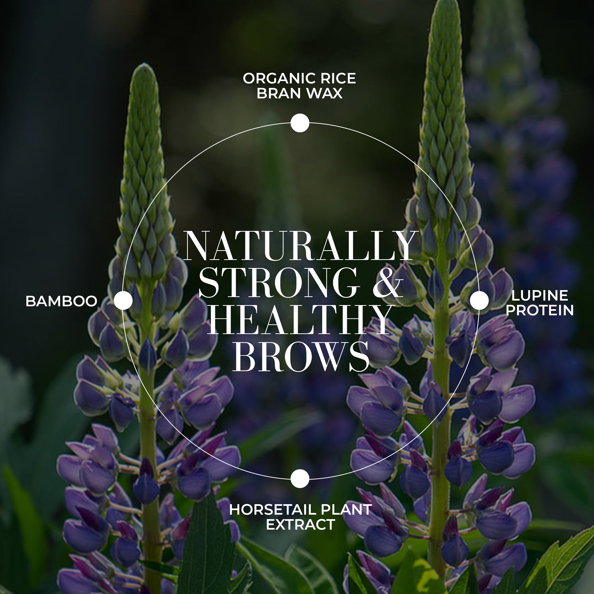 Natural Protein Plant Brow Gel for Thicker, Fuller Eyebrows - Vegan & Cruelty-Free Brow Styler for Everyday Use