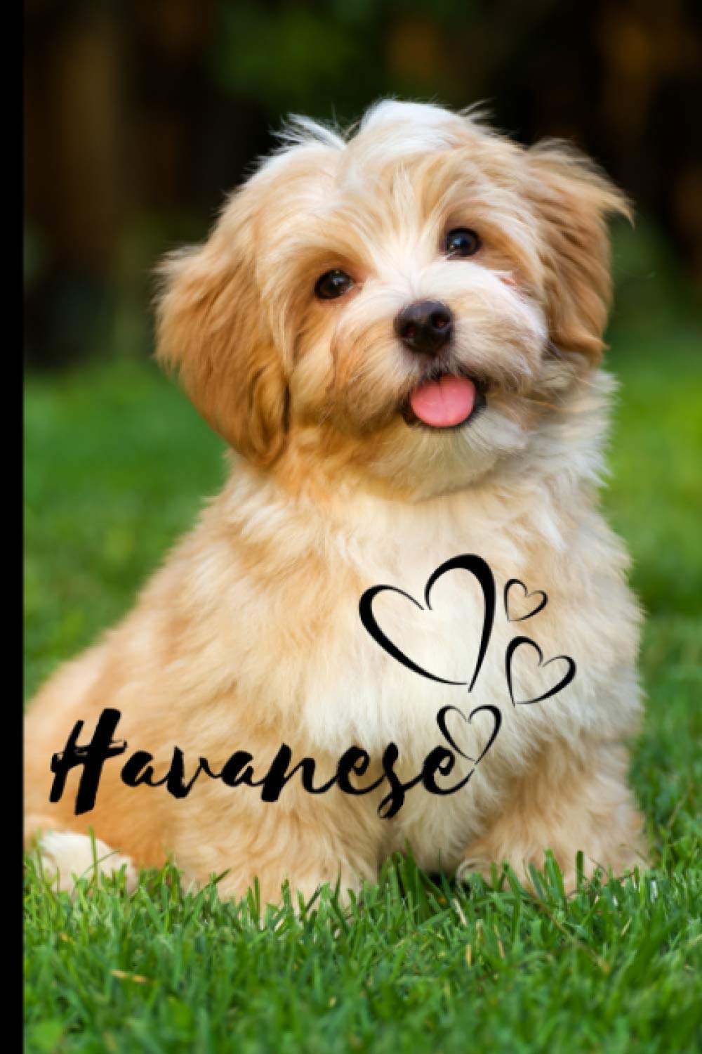 Havanese Dog Lovers Notebook - 6x9