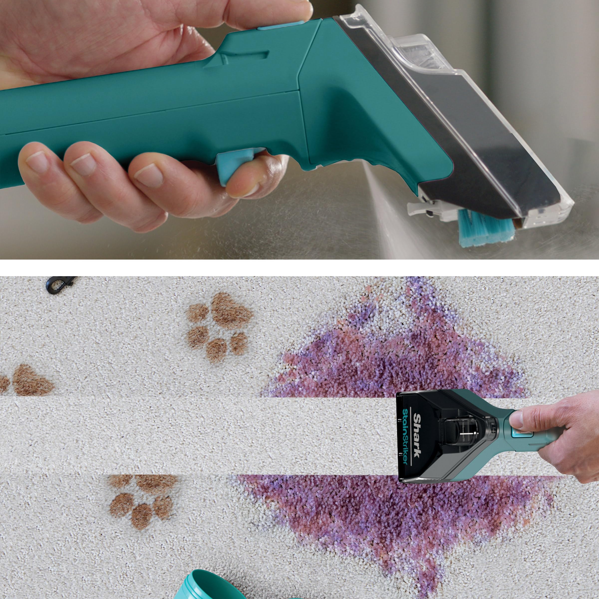 Shark R-EX205 CarpetXpert Carpet Cleaner with StainStriker Technology | Built-in Spot & Stain Remover for Carpets, Rugs & Upholstery | Teal | EX200 Series (Renewed) | Perfect for Pet Stains, Spills & Deep Cleaning