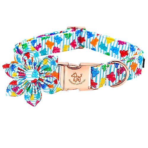 Colorful Bear