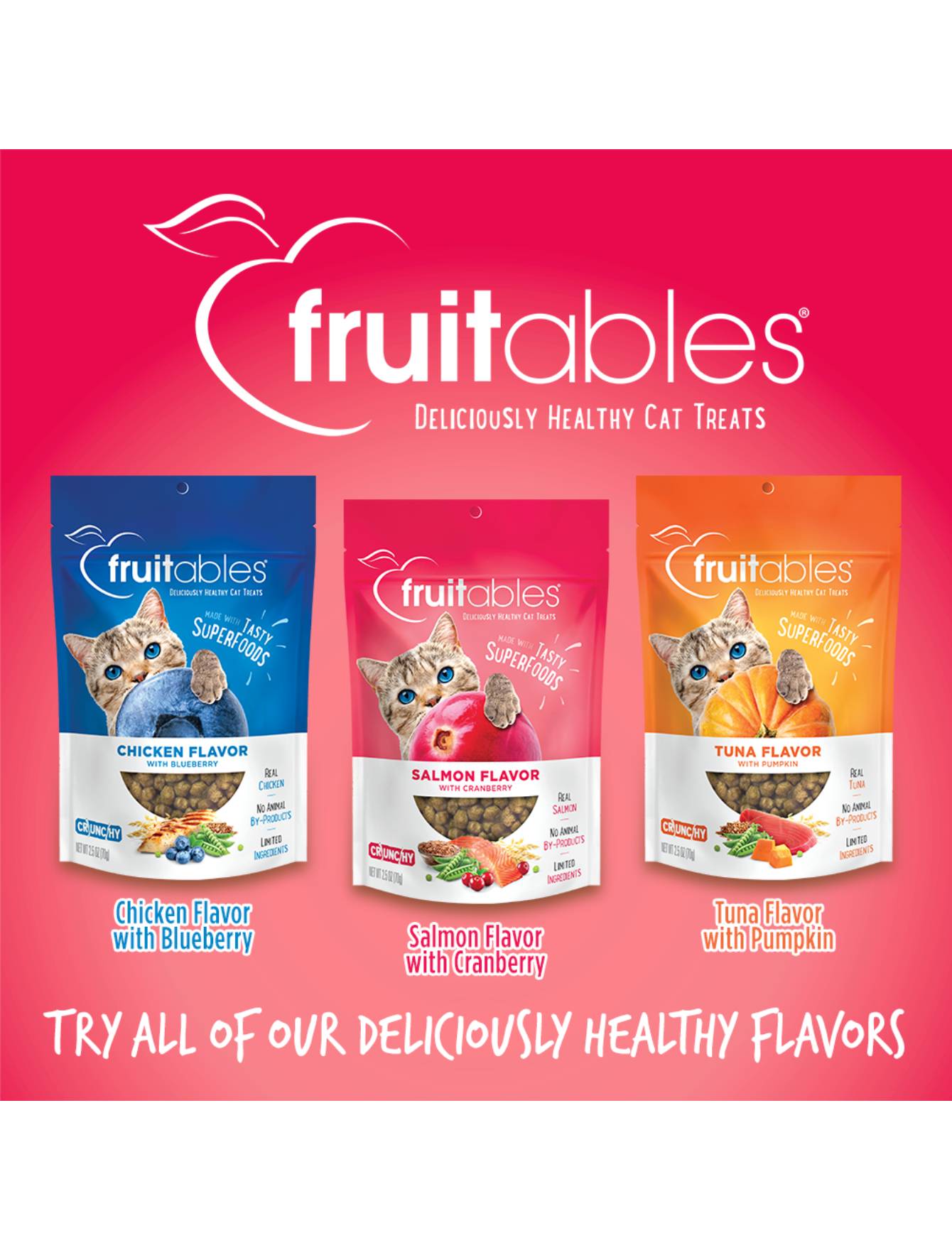 Fruitables Crunchy Salmon with Cranberry Cat Treats 2.5oz - Healthy Natural Cat Snacks for Indoor & Outdoor Cats - Perfect for Training, Rewards, and Bonding Time