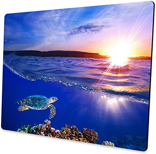 Turtle Mouse Pad