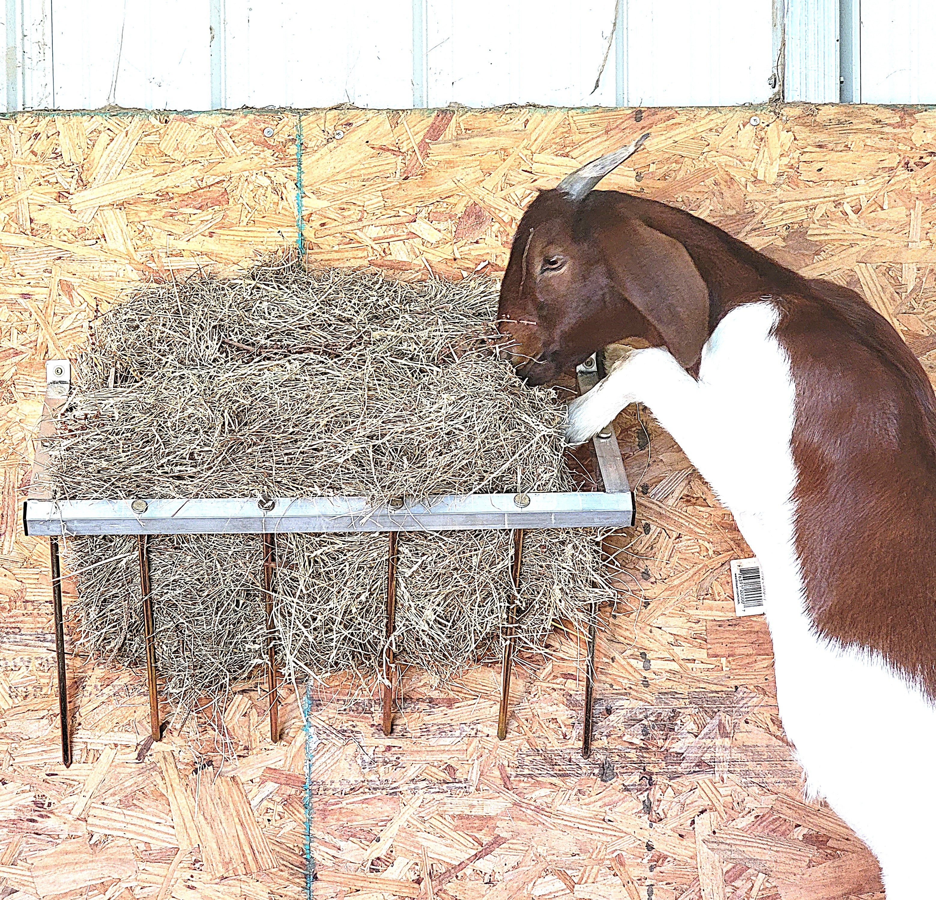24 Inch Wall Mounted Sheep & Goat Two Flake Hay Feeder - Durable Aluminum Alloy - USA Made - Perfect for Barns, Stables & Pastures