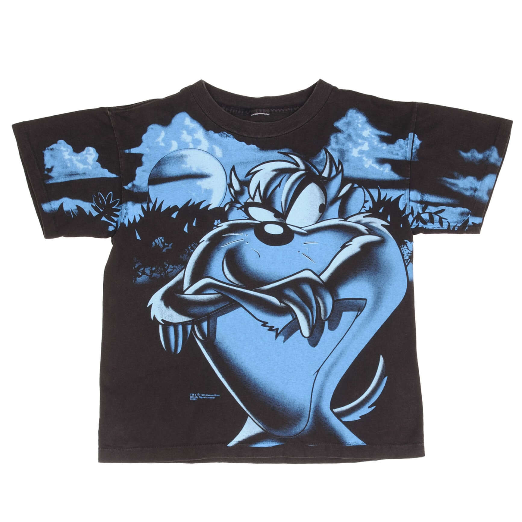 Vintage Looney Tunes Taz 1995 Graphic T-Shirt - Large Youth (14/16) - Classic Cartoon Character Tee for Casual Wear, Retro Fashion & Collectors