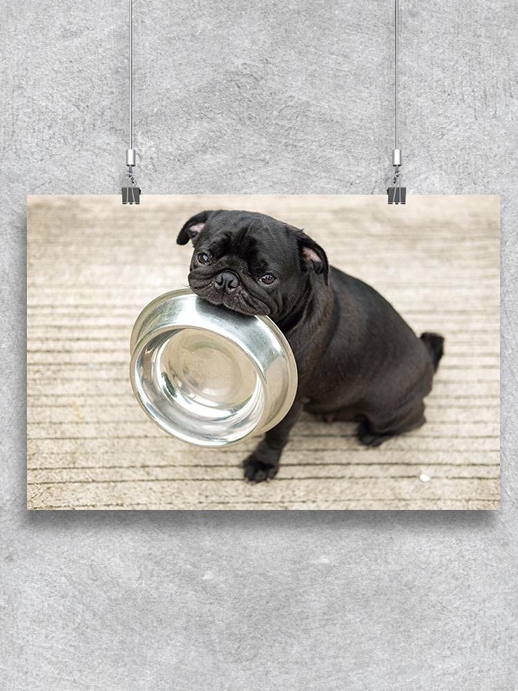 Funny Pug Dog with Food Bowl Wall Poster - Cute Puppy Art Print for Living Room, Bedroom & Office Decor