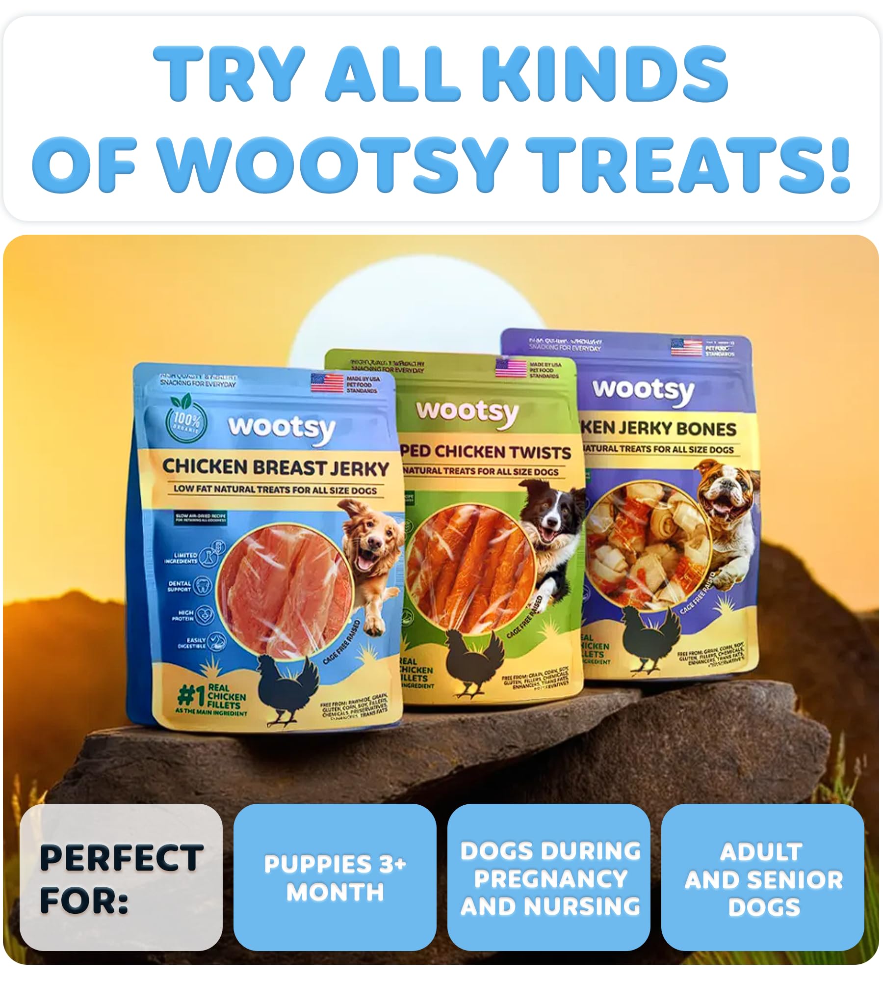 Premium Chicken Jerky Dog Treats - Grain Free, High Protein, Low Calorie - Healthy Dental Chews for Dogs - No Rawhide, All Natural Ingredients - 24 oz Bag - Perfect for Training, Rewards & Oral Care