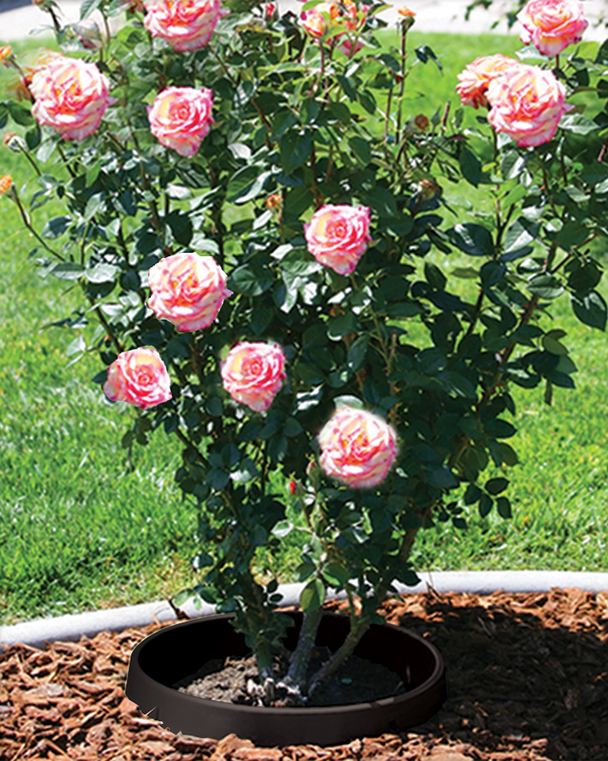 6 Pack of 24 Inch Planting Rings - Tree Protector, Landscape Edging & Water Retention Barrier - Ideal for Separating Rock, Mulch and Grass in Gardens & Yards