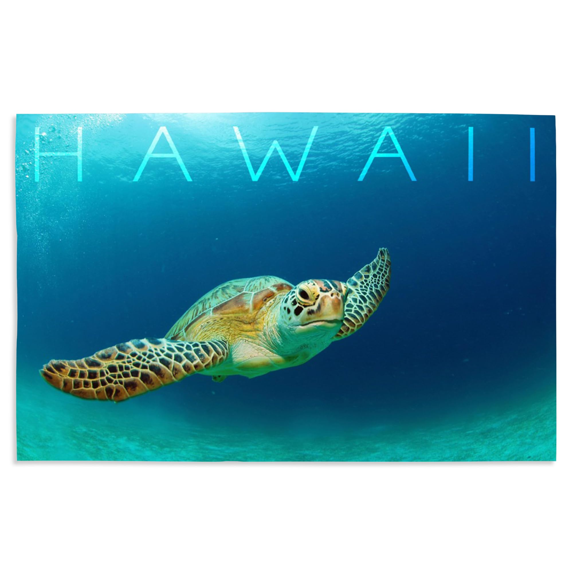 Lantern Press 16x24 Inch Giclee Art Print - Hawaiian Sea Turtle Wall Decor for Living Room, Bedroom & Office | Premium Ocean-Themed Home Decoration