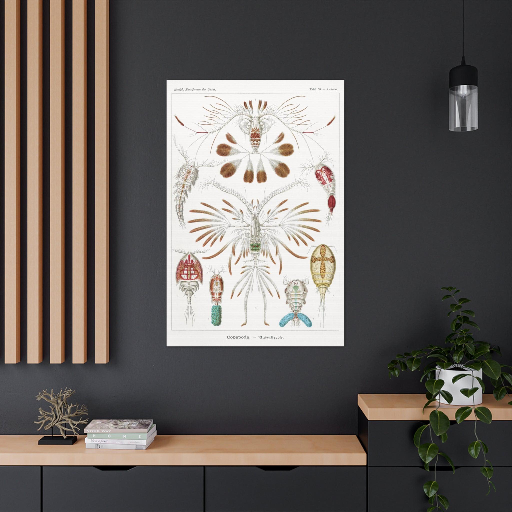 Copepoda Ruderkrebse by Ernst Haeckel - Premium Canvas Art Print for Home & Office Decor | Marine Biology Wall Art | Scientific Illustration Gift