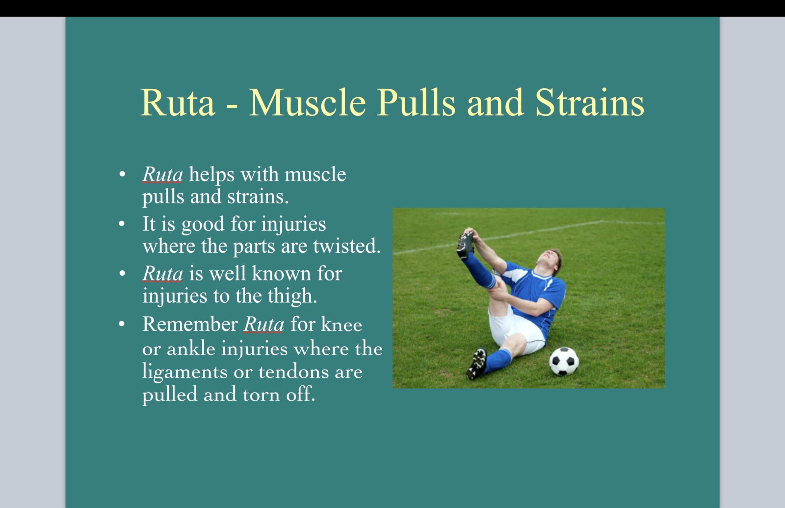 Ruta Graveolens Cream 6 Pack - Natural Herbal Pain Relief for Joints & Muscles - Perfect for Athletes & Arthritis Sufferers