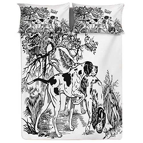 Sheet Set 25