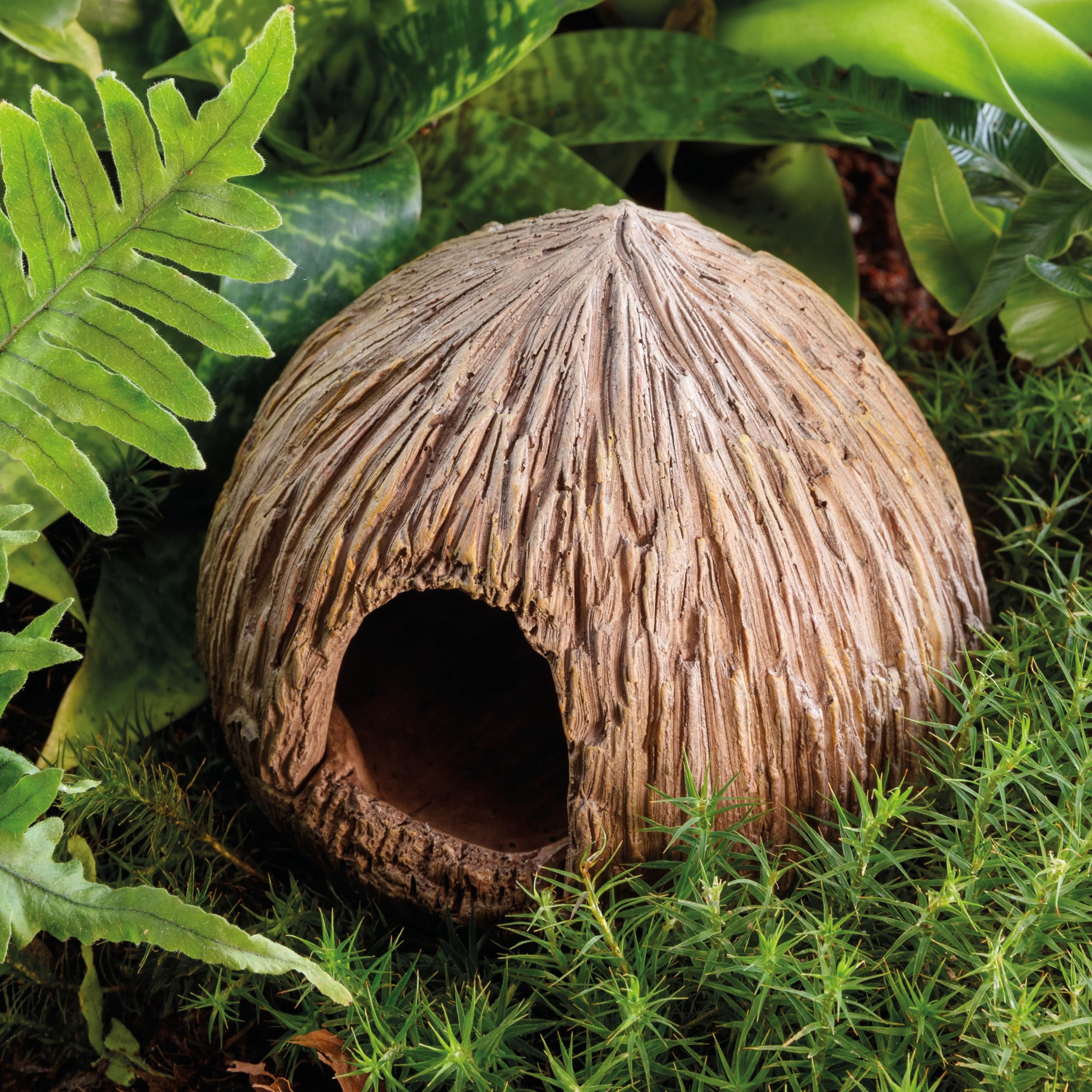 Exo Terra Coconut Cave Reptile Hideout - Natural Terrarium Decor for Lizards, Snakes & Geckos - Perfect for Climbing, Hiding & Relaxing in Reptile Tanks