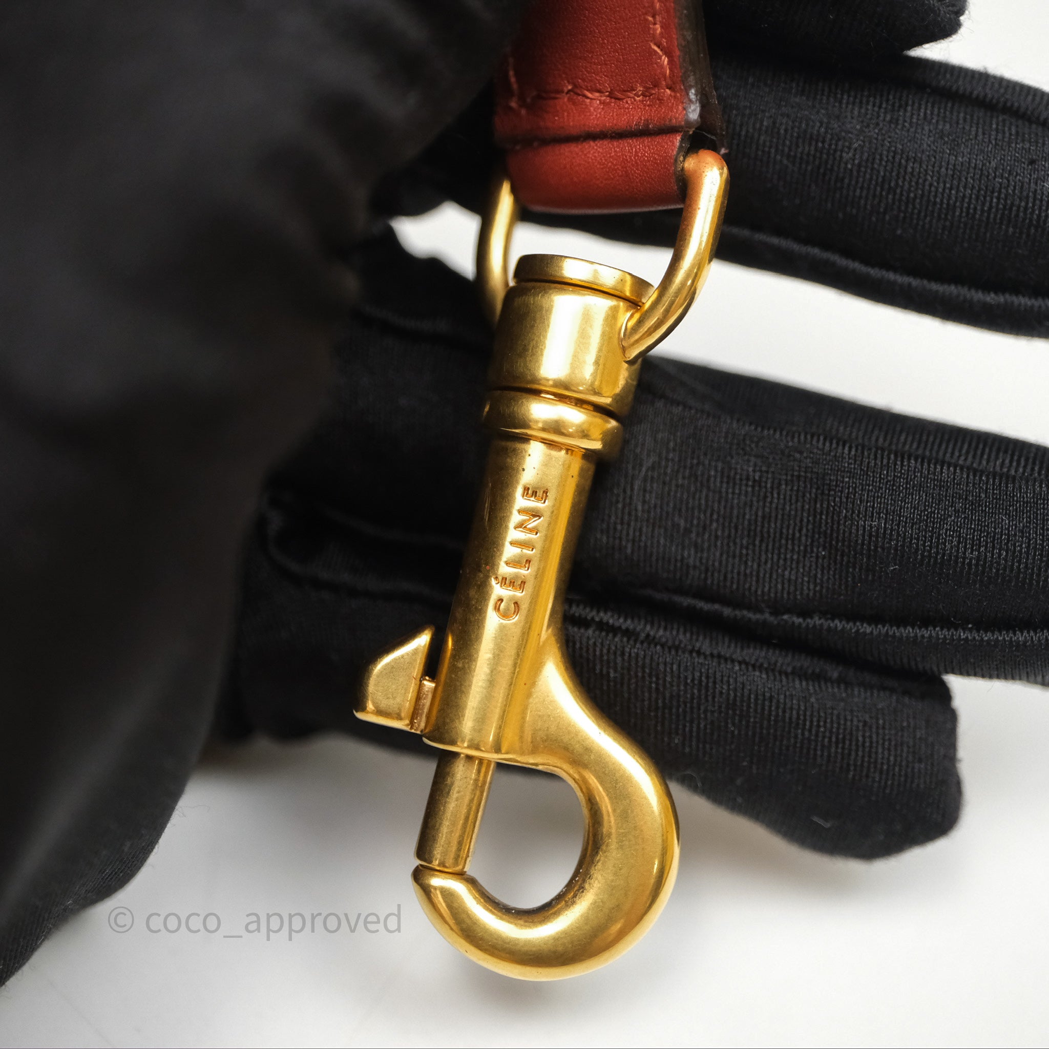 Celine Mini Belt Bag in Brick Red Grained Goatskin Leather with Gold Hardware - Perfect for Everyday Use, Work & Travel