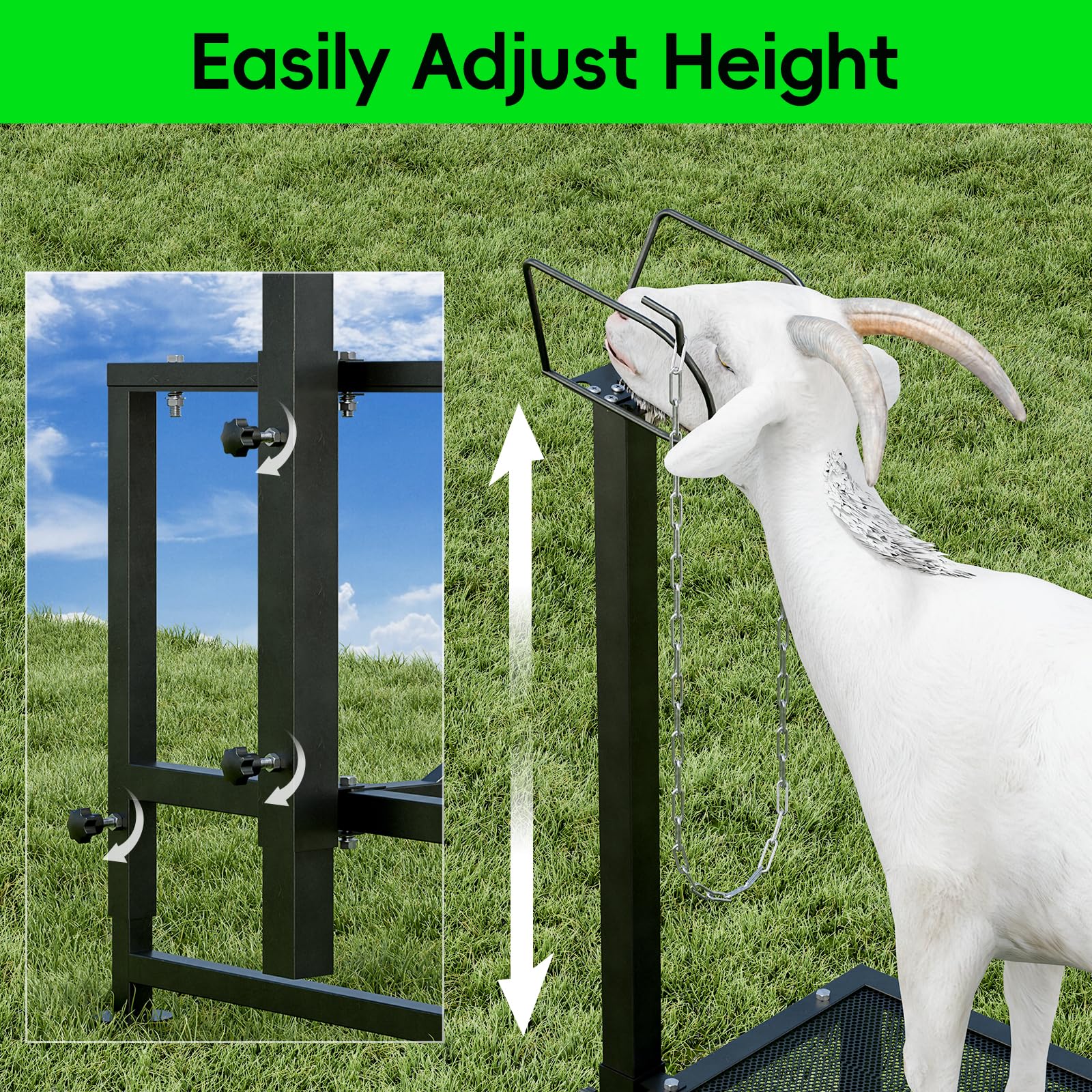 Adjustable Metal Livestock Stand for Sheep & Goat Milking with Ramp - Heavy Duty Hoof Trimming Stand with Secure Headpiece - Perfect for Farm Animal Grooming, Veterinary Care & Dairy Operations