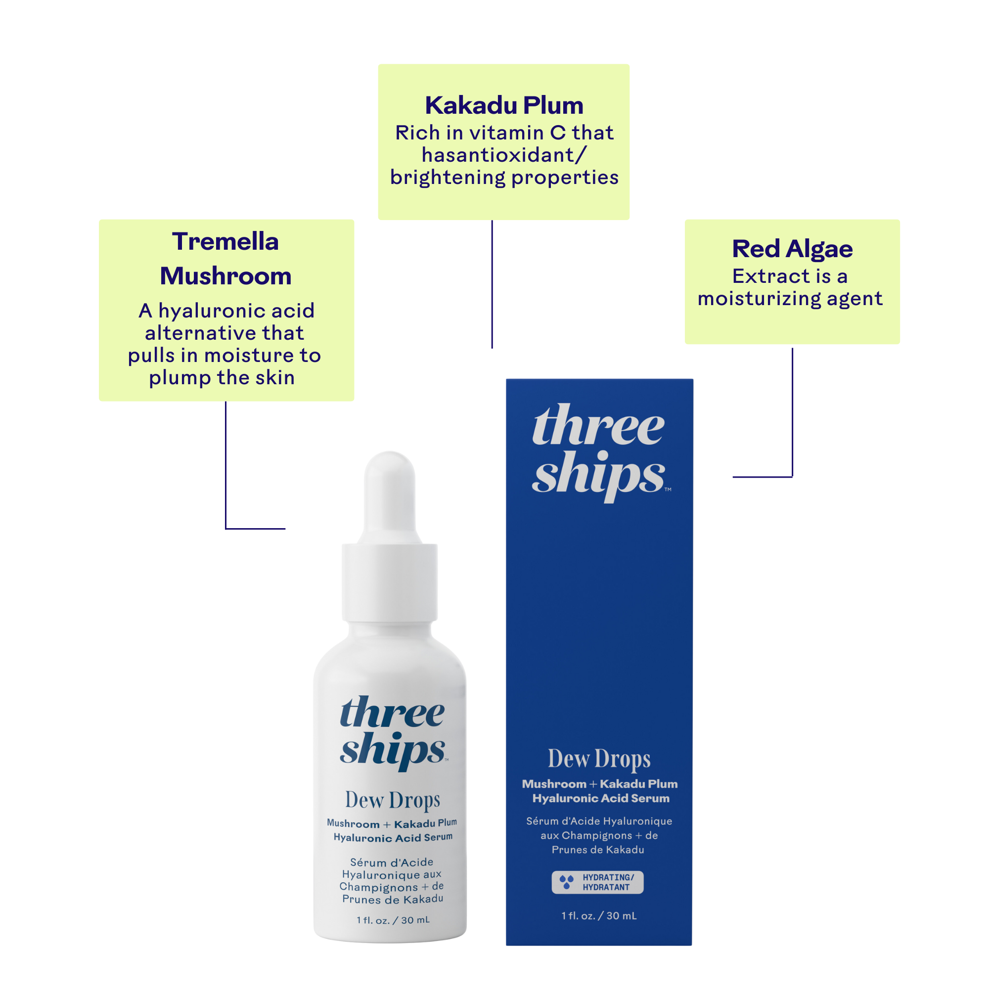 Dew Drops Mushroom & Kakadu Plum Hyaluronic Acid Serum for Face - Hydrating Anti-Aging Facial Treatment for Dry, Sensitive Skin | Day & Night Moisturizer for Glowing Complexion