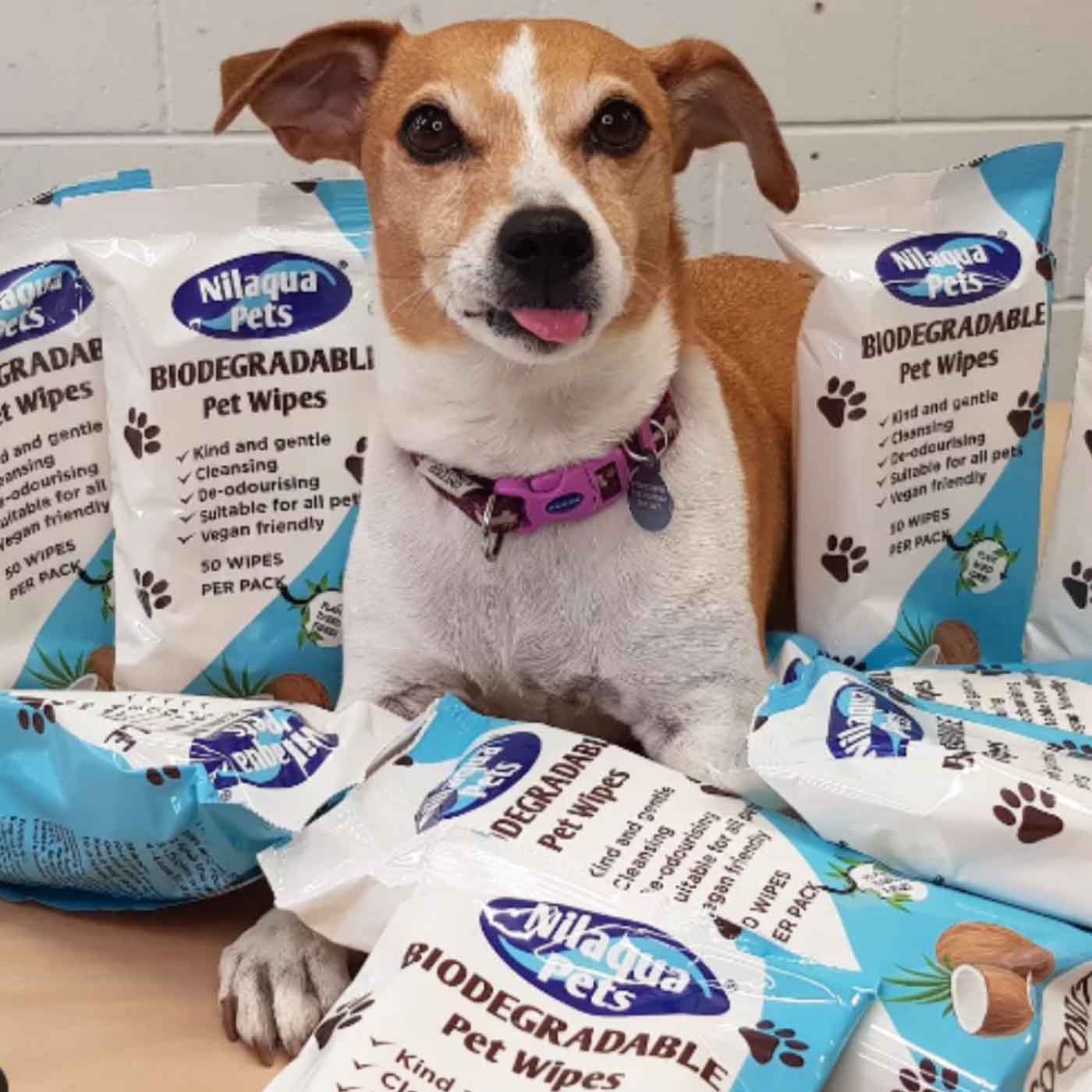 Eco-Friendly Biodegradable Pet Wipes for Dogs & Cats - Gentle Cleansing Wipes for Paws, Fur & Face - Perfect for Grooming, Travel & Outdoor Adventures