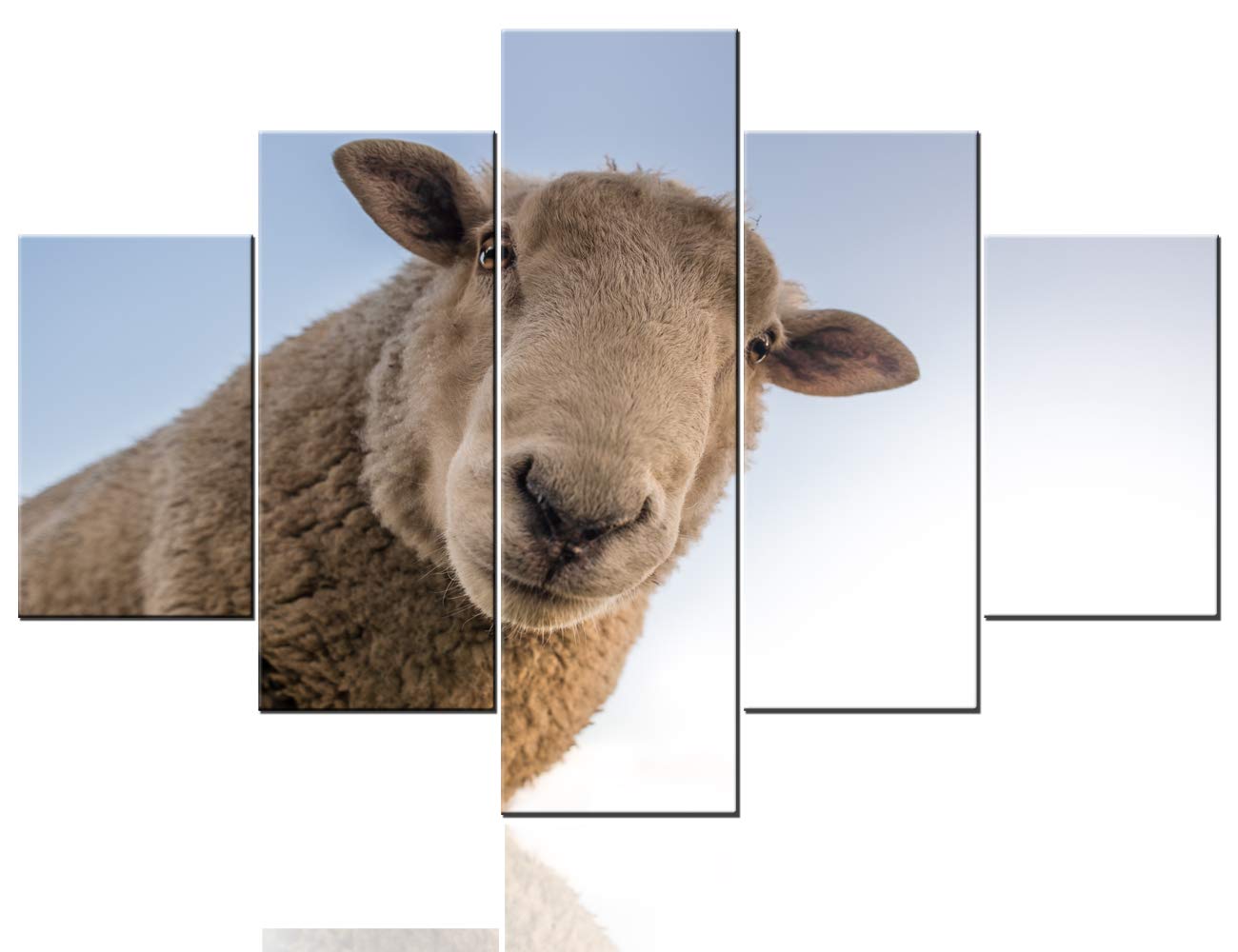 TUMOVO Farm Sheep Canvas Wall Art - Hand Painted Animal Painting for Living Room, Bedroom, Kitchen, Bathroom & Office Decor - Perfect for Farmhouse, Rustic & Country Style Home Decoration