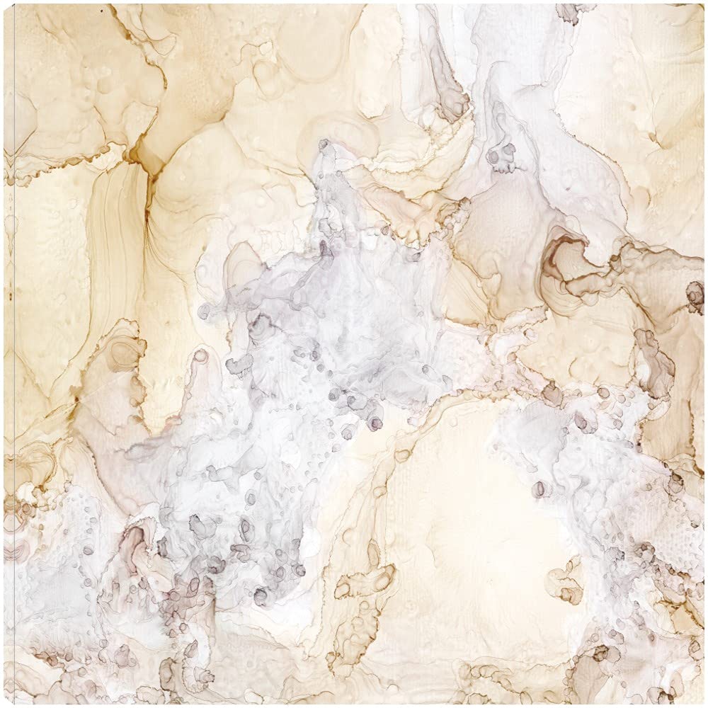Tara Reed Neutral Taupe Fine Art Canvas Wall Decor - 32x32 Inches Ready to Hang - Perfect for Living Room, Bedroom, Bathroom, Kitchen, Office, Bar & Dining Room - Elegant Home & Interior Design Wall Art