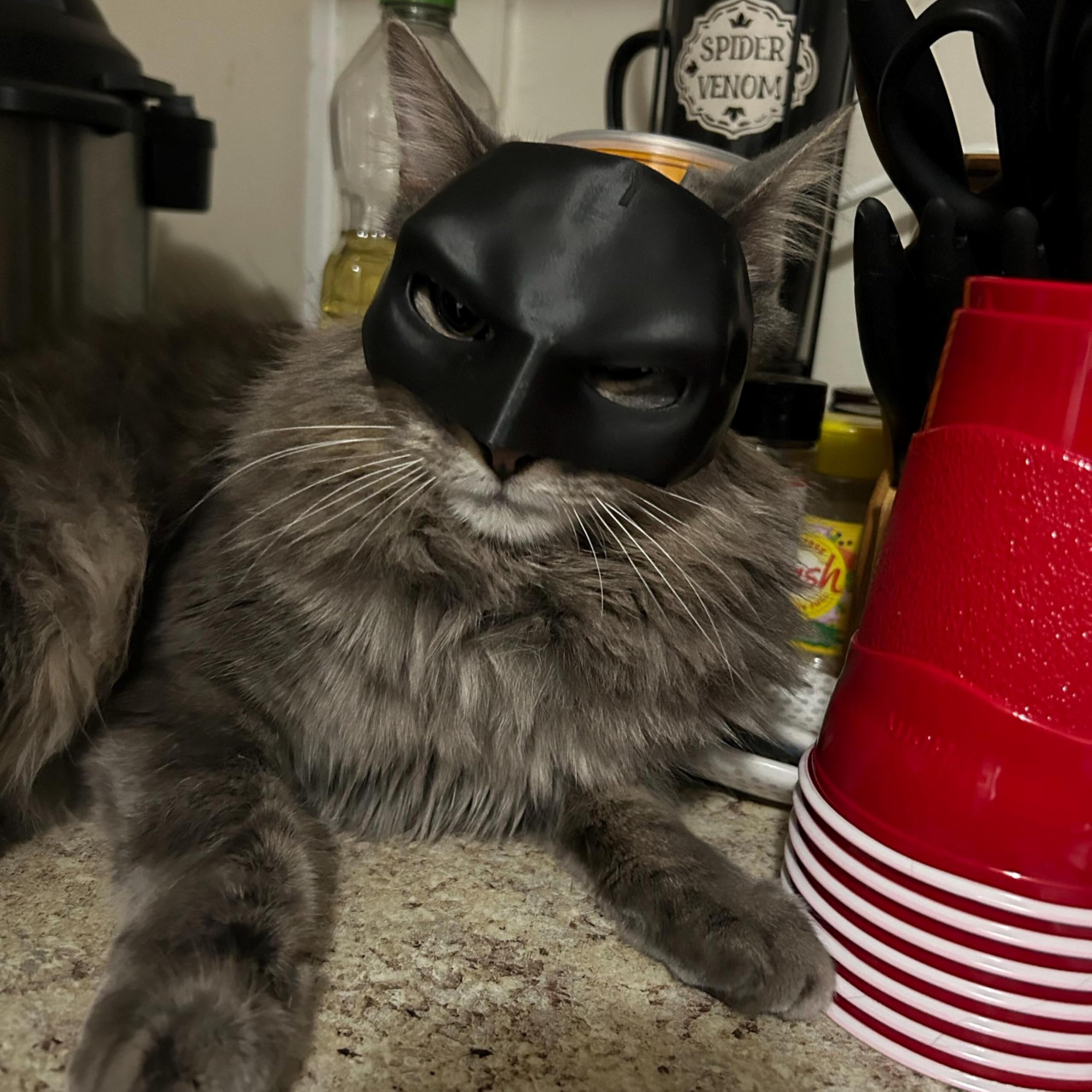 Custom Cat Bat Cosplay Hat - Personalized Halloween Pet Costume Mask for Cats (Large Size) - Perfect for Halloween Parties & Pet Dress-Up Fun