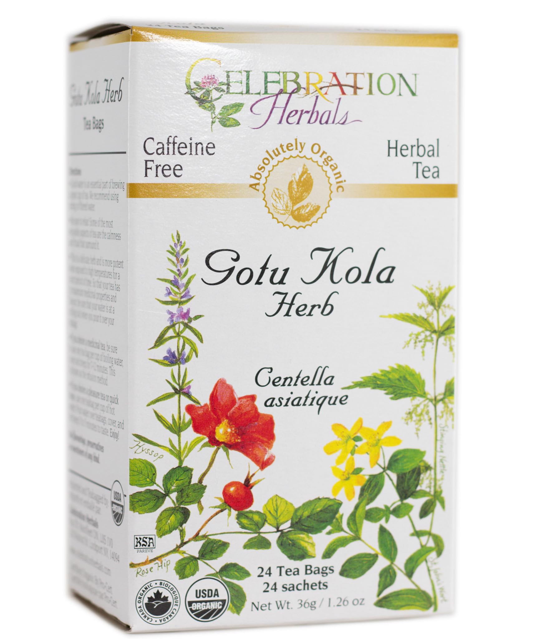 Celebration Herbals Organic Gotu Kola Tea Bags - 24 Count | Herbal Wellness Tea for Memory & Circulation | Perfect for Relaxation & Focus