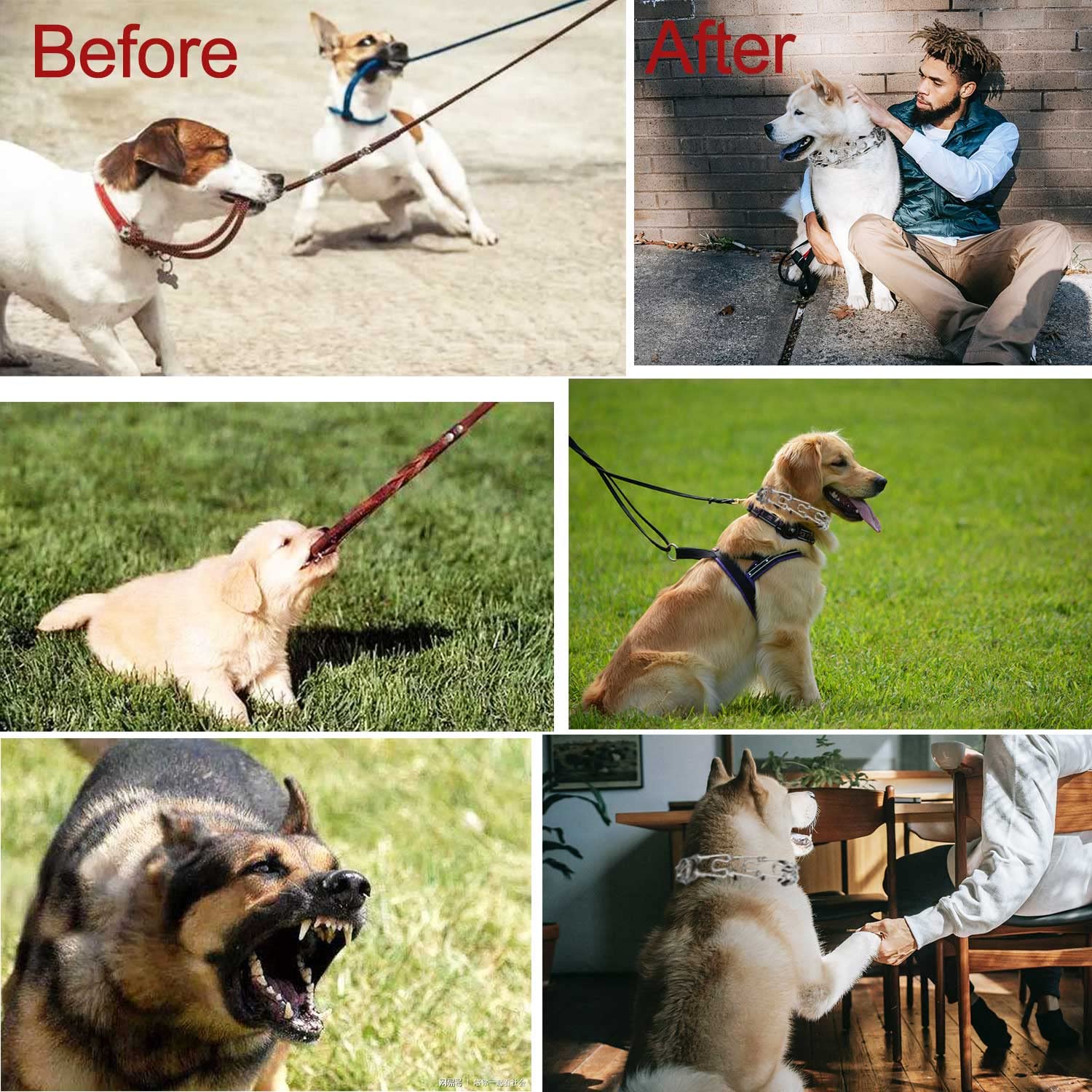 Stainless Steel Pinch Collar for Dogs - Adjustable Durable Training Collar for Medium & Large Breeds - Heavy Duty Pet Training Tool for Obedience & Behavior Control - Perfect for Walking, Leash Training & Outdoor Activities (Large, Silver)