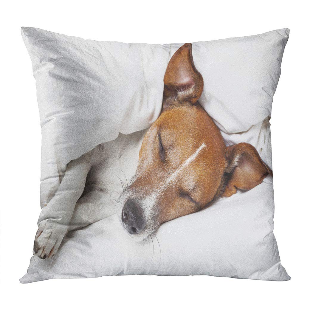 Jack Russell Terrier Throw Pillow Cover 18x18 Inch - Soft Square Cushion Case with Hidden Zipper for Sofa, Bed & Living Room Decor - Perfect for Pet Lovers Home & Cozy Nap Scenes