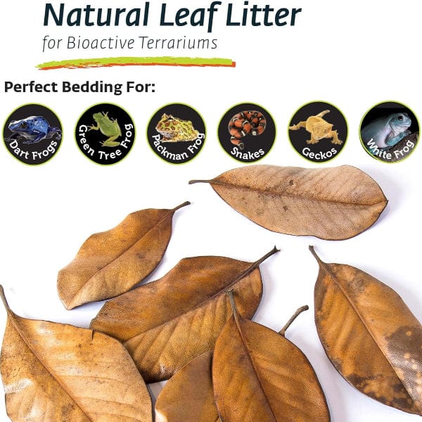 Organic Galápagos Magnolia Leaf Litter for Terrariums - Natural Substrate for Reptiles, Amphibians & Bioactive Vivariums - Perfect for Habitat Enrichment & Egg-Laying Areas