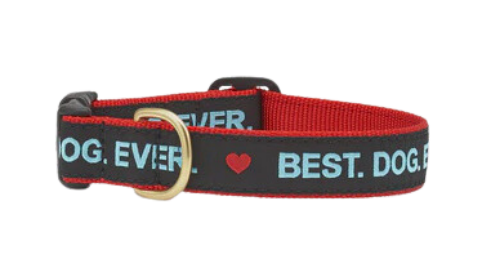 Best Dog Collar for Training & Daily Use - Durable Nylon Pet Collar with Adjustable Buckle for Small Medium Large Dogs - Perfect for Walking, Hiking & Outdoor Adventures