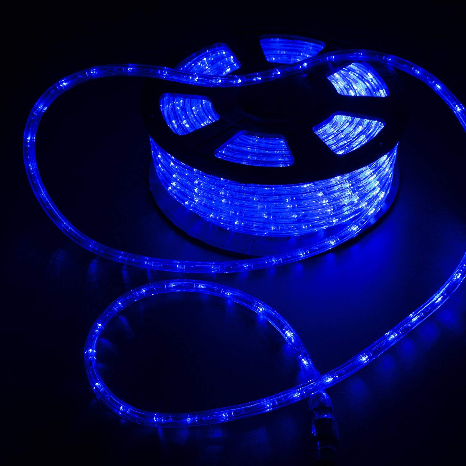 Diophros 100FT LED Rope Lights - Waterproof Outdoor/Indoor Decorative Lighting for Backyard, Garden, Party & Holiday Decor (Blue) - Perfect for Patio, Wedding, Christmas & Landscape Lighting