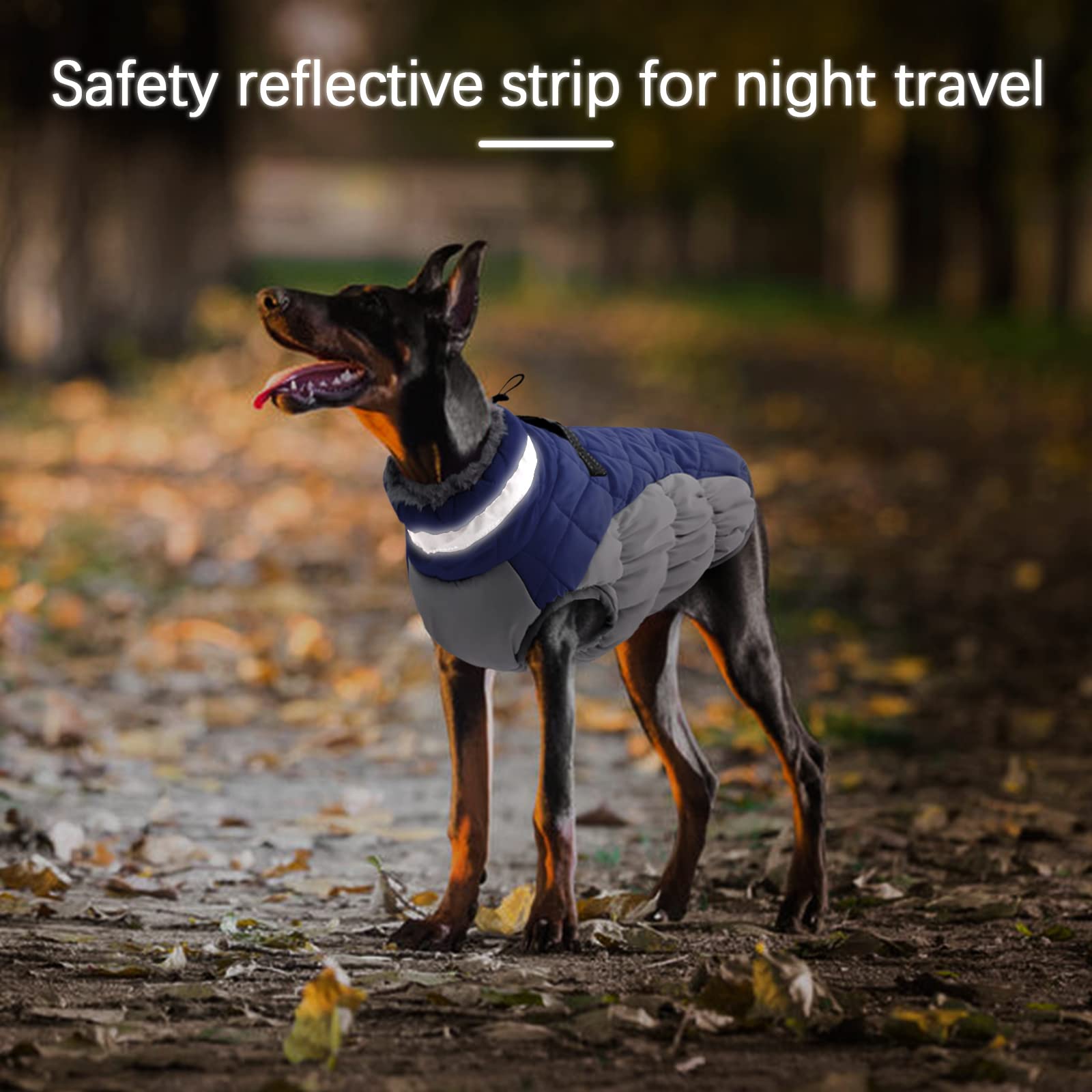 Small Dog Puppy Winter Coat - Warm Waterproof Jacket with Built-in Harness, Blue | Perfect for Cold Weather Walks & Outdoor Adventures